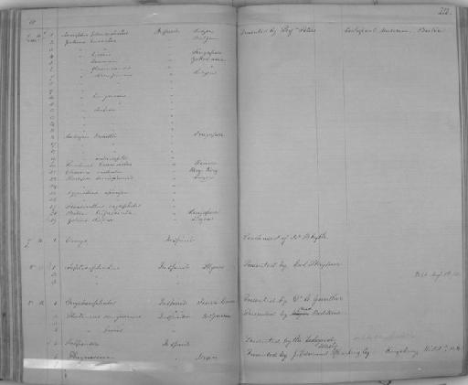 Gobius brunnea - Zoology Accessions Register: Reptiles & Fishes: 1864 - 1877: page 210