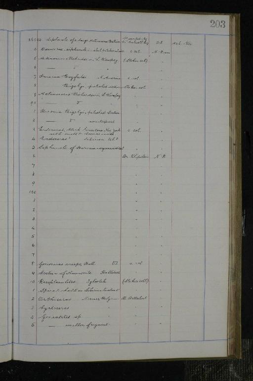 Lamna appendiculata infraphylum Gnathostomata Agassiz - NHM-UK_P_DF118_02_02_0407