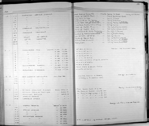 Gadomus arcuatus Goode & Bean, 1886 - Zoology Accessions Register: Fishes: 1961 - 1971: page 56