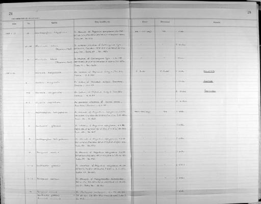 Derogenes varicus (Müller, 1784) Looss, 1901 - Zoology Accessions Register: Platyhelminth: 1987 - 1993: page 28