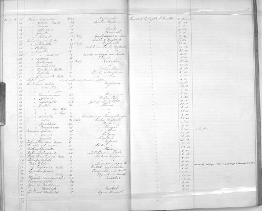 Pupa spelaea subterclass Tectipleura T. Hutton, 1849 - Zoology Accessions Register: Mollusca: 1854 - 1857: page 114