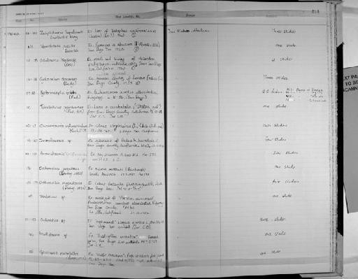 Anomotaenia californensis - Zoology Accessions Register: Platyhelminth: 1971 - 1981: page 214