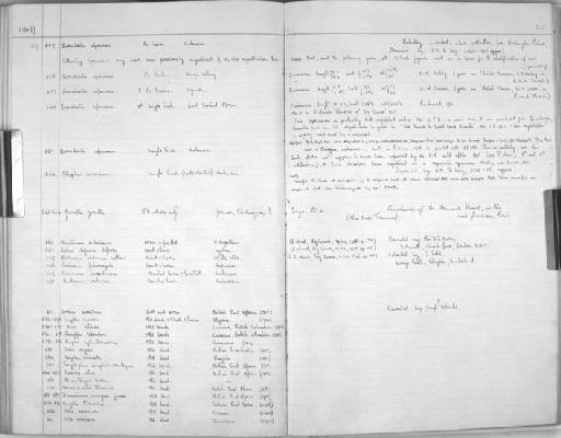 Tragelaphus scriptus - Zoology Accessions Register: Mammals: 1937 - 1951: page 215