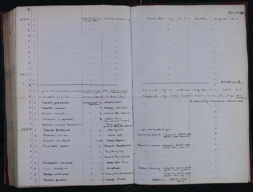 NHM-UK_P_DF118_05_05_0557