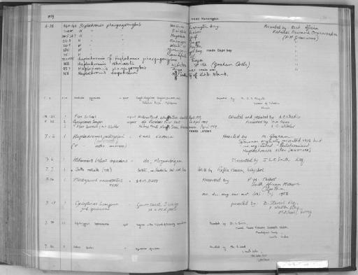 Haplochromis estor Regan, 1929 - Zoology Accessions Register: Fishes: 1937 - 1960: page 211