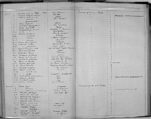 Cyrena donaciformis subterclass Euheterodonta G. B. Sowerby II, 1877 - Zoology Accessions Register: Mollusca: 1911 - 1924: page 144