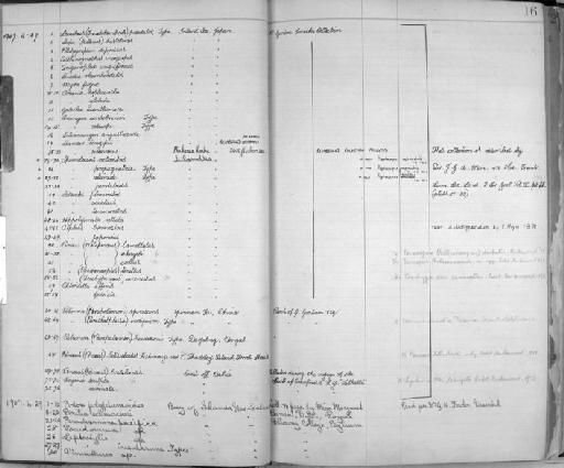 Latreutes acicularis Ortmann, 1890 - Zoology Accessions Register: Crustacea: 1905 - 1935: page 16