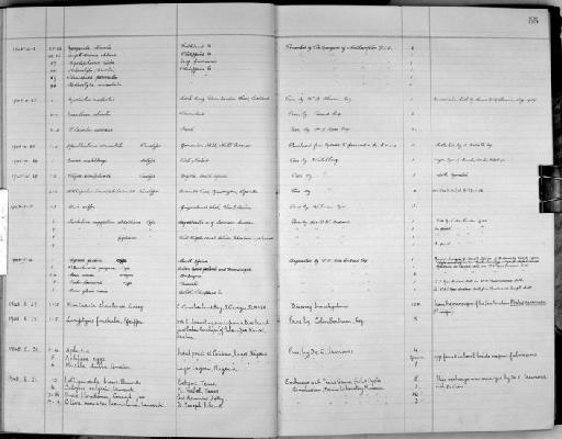 Pecten townsendi G. B. Sowerby III, 1895 - Zoology Accessions Register: Mollusca: 1938 - 1955: page 55