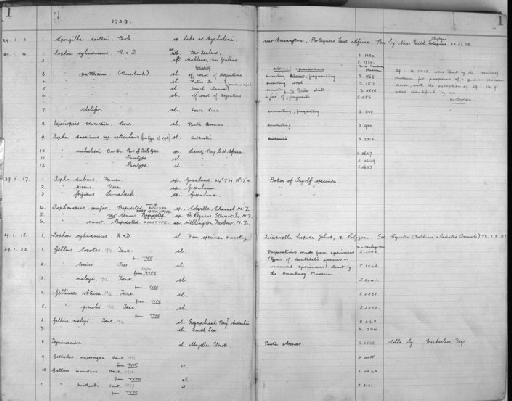 Spongilla carteri Bowerbank, 1863 - Zoology Accessions Register: Spongiida: 1929 - 1938: page 1