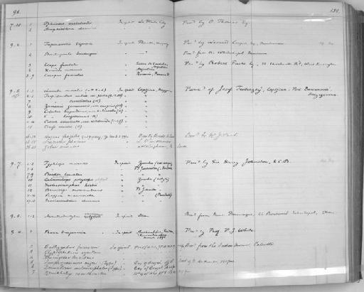 Xenomystax trucidans Alcock, 1894 - Zoology Accessions Register: Reptiles & Fishes: 1893 - 1903: page 130