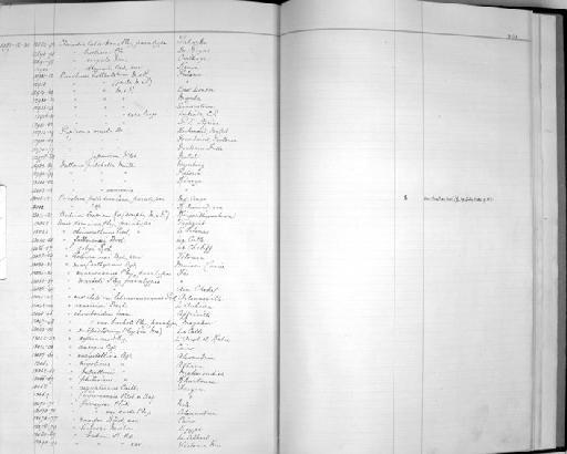 Punctum hottentotum subterclass Tectipleura (Melvill & Ponsonby, 1891) - Zoology Accessions Register: Mollusca: 1925 - 1937: page 301