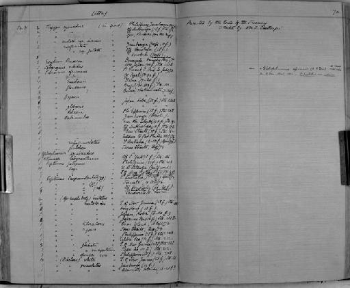 Pilumnus dehaani subsection Heterotremata section Eubrachyura - Zoology Accessions Register: Crustacea: 1876 - 1905: page 74