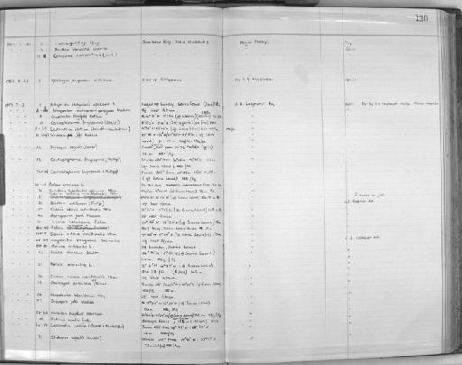 Luidia heterozona heterozona Fisher, 1940 - Zoology Accessions Register: Echinodermata: 1935 - 1984: page 130