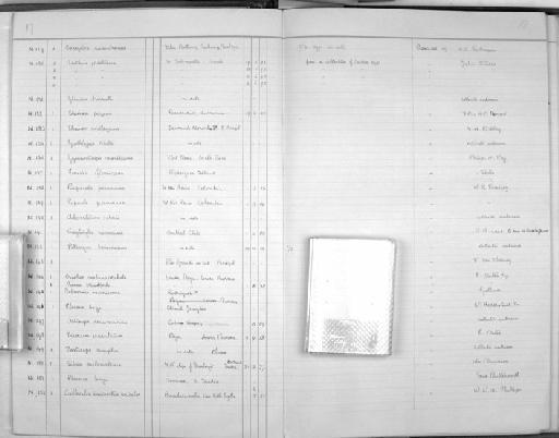 Heterophasia melanoleuca melanoleuca (Blyth, 1859) - Zoology Accessions Register: Aves (Nest): 1959 - : page 18