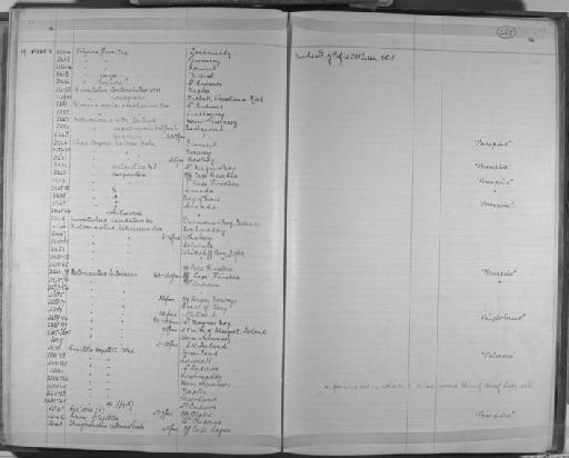 Cirratulus norvegicus McIntosh, 1911 - Zoology Accessions Register: Annelida & Echinoderms: 1884 - 1923: page 267