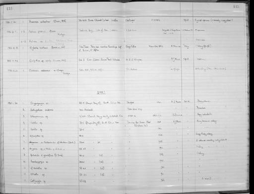 Actinia prasina Gosse, 1860 - Zoology Accessions Register: Coelenterata: 1981 - 1992: page 133