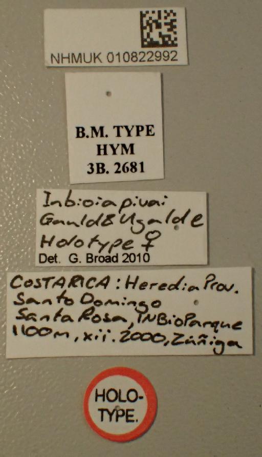 Inbioia pivai Gauld, I.D. & Ugalde, 2002 - 010822992_Inbioia_pivai_labels