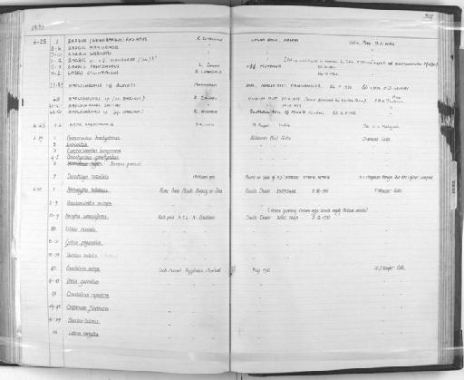 Chaparrudo flavescens de Buen, 1931 - Zoology Accessions Register: Fishes: 1961 - 1971: page 204