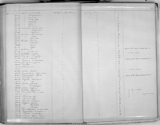 Mitra kowiensis - Zoology Accessions Register: Mollusca: 1900 - 1905: page 155