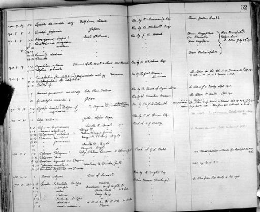 Dotilla subsection Thoracotremata section Eubrachyura - Zoology Accessions Register: Crustacea: 1905 - 1935: page 62