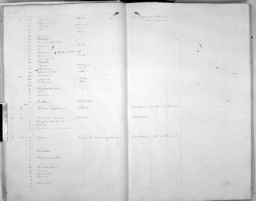 Cryptopterus amboinensis Günther, 1864 - Zoology Accessions Register: Mammals: 1854 - 1861: page 22