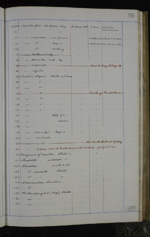 Ptychodus infraphylum Gnathostomata Agassiz, 1839 - NHM-UK_P_DF118_02_02_0199