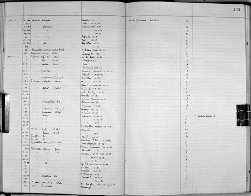 Trochus funiculare Melvill - Zoology Accessions Register: Mollusca: 1938 - 1955: page 134