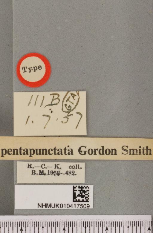 Arctia caja ab. pentapunctata Smith, 1958 - NHMUK_010417509_a_label_529973