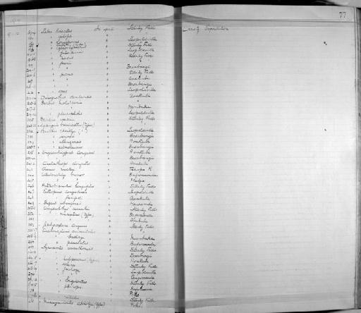 Leptocypris weynsii (Boulenger, 1899) - Zoology Accessions Register: Fishes: 1912 - 1936: page 77