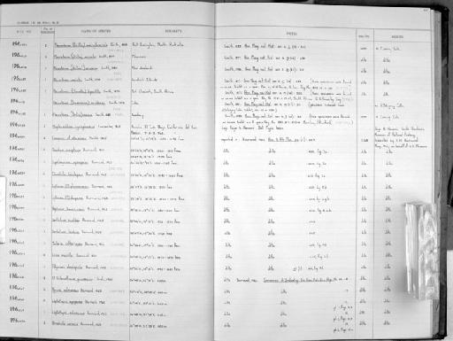 Pleurotoma (Drillia) crassa E. A. Smith, 1888 - Zoology Accessions Register: Mollusca: 1962 - 1969: page 103