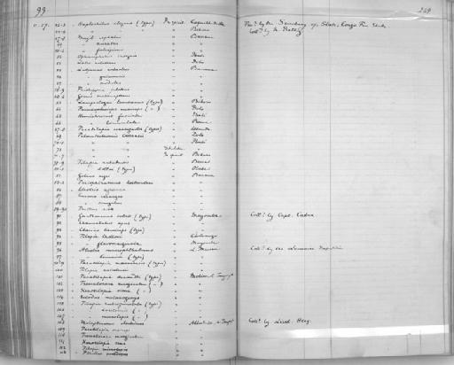 Paratilapia moeruensis Boulenger, 1899 - Zoology Accessions Register: Reptiles & Fishes: 1893 - 1903: page 249