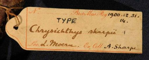 Chrysichthys sharpii Boulenger, 1901 - 1900.12.31.14; Chrysichthys sharpii; image of jar label; ACSI project image