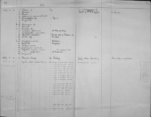 Caryophyllia smithii Stokes & Broderip, 1828 - Zoology Accessions Register: Coelenterata: 1951 - 1958: page 91