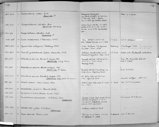 Antarcturus bovina Brandt and Wagele, 1988 - Zoology Accessions Register: Crustacea: 1984 - 1991: page 130