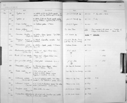 Gordius platyura Baird, 1953 - Zoology Accessions Register: Aschelminth N3: 1954 - 1977: page 56