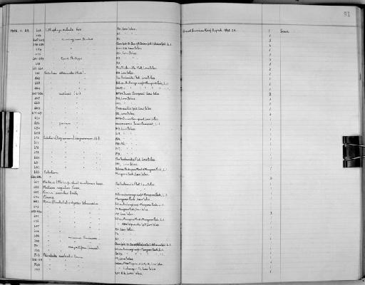 Lithophaga subula Reeve - Zoology Accessions Register: Mollusca: 1938 - 1955: page 91