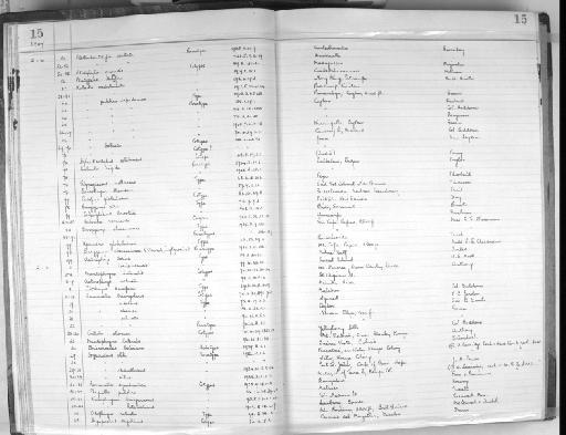 Plethodontohyla ocellata Noble and Parker,  1926 - Register_1947.2.10.51-99_1947.2.11.1-45