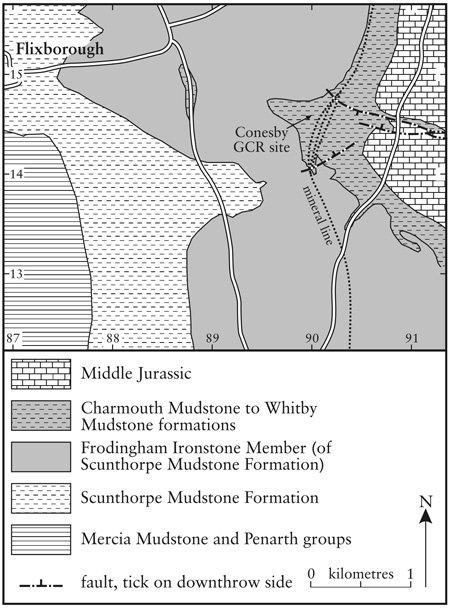 Thalattosuchia Fraas, 1901 - Conesby GCR site geology