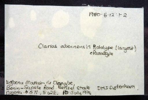 Clarias aboinensis (Sydenham & Olawoye, 1981) - 1980.5.12.1; Clarias (Clariodes) aboinensis; image of jar label; ACSI project image