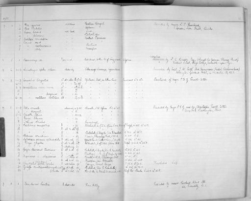 Bubalus bubalis bubalis Linnaeus, 1758 - Zoology Accessions Register: Mammals: 1937 - 1951: page 36