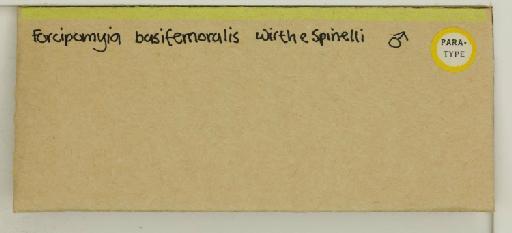 Forcipomyia basifemoralis Wirth & Spinelli - 014770130_additional