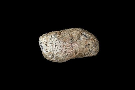 NHMUK_PV_R_12165_view_2_coprolite