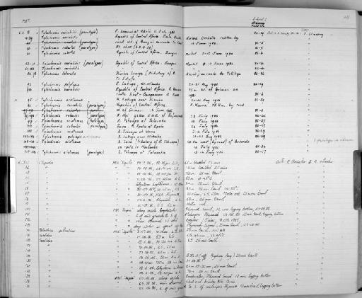 Tylochromis aristoma Stiassny, 1989 - Zoology Accessions Register: Fishes: 1986 - 1994: page 48