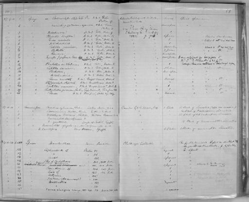 Nummulites gizehensis visquesneli - Zoology Accessions Register: Spongiida & Protozoa: 1887 - 1918: page 18