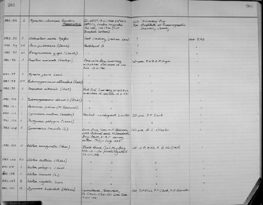 Nymphon clarencei Gordon,1932 - Zoology Accessions Register: Crustacea: 1976 - 1984: page 203