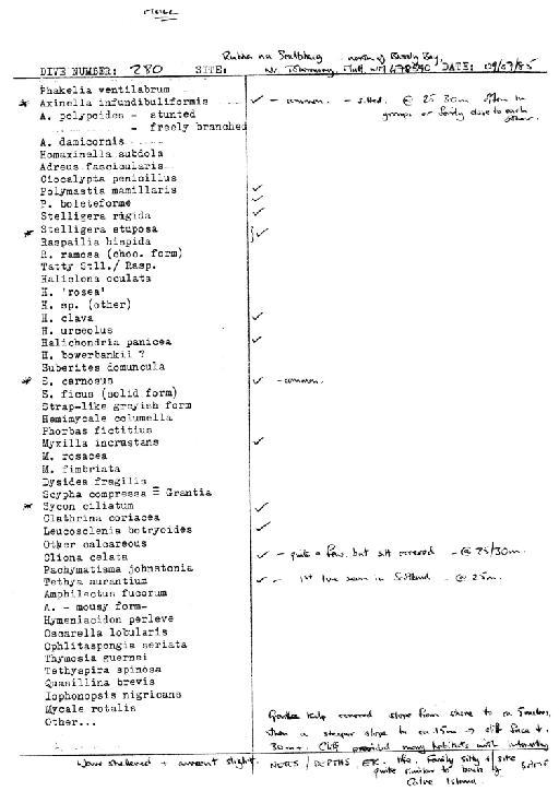 Leucosolenia botryoides (Ellis & Solander, 1786) - Spurrier Mull notes 4 (CSC 47 to 67).jpg