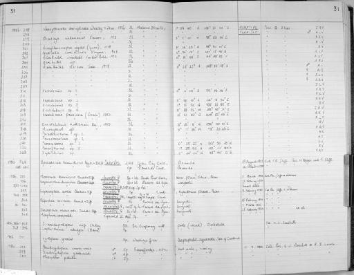 Misophria kororiensis Boxshall & Iliffe, 1987 - Zoology Accessions Register: Crustacea (Entomostraca): 1982 - 1993: page 31