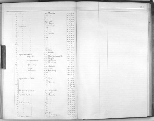 Euplectes capensis zambesiensis - Zoology Accessions Register: Aves (Skins): 1909 - 1911: page 290