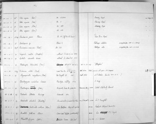 Escharina alderi Busk - Zoology Accessions Register: Bryozoa: 1971 - 1986: page 1