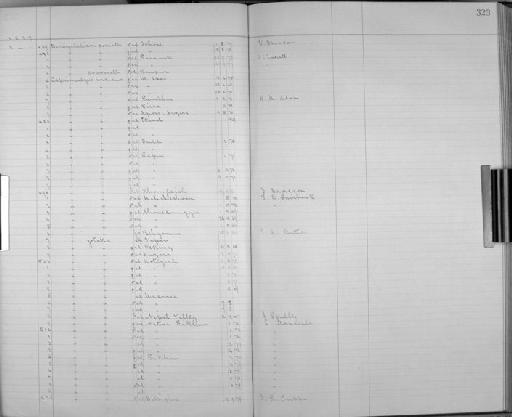 Caprimulgus indicus hazarae - Bird Group Collector's Register: Aves - Hume Collection Vol 2: 1886 - 1889: page 323